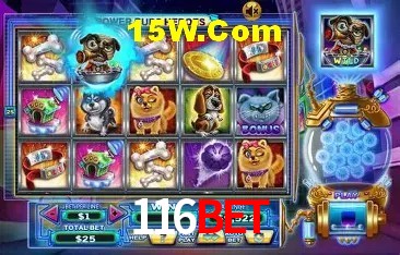 116Bet São Paulo - Top Slots