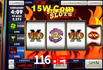 116Bet - User Statistics
